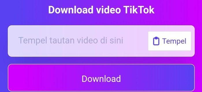 SSSTikTok: Solusi Mudah untuk Mengunduh Video TikTok